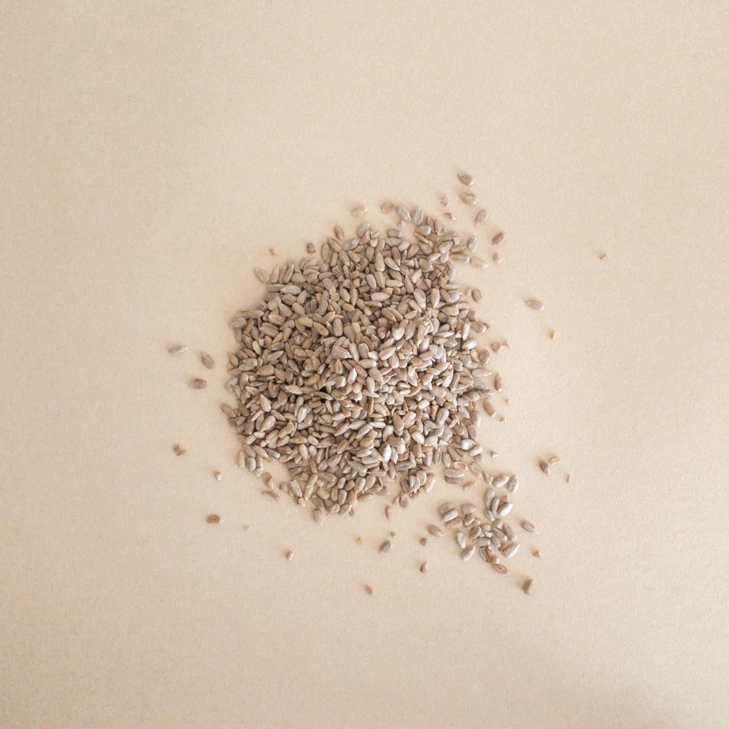 Graines de tournesol
